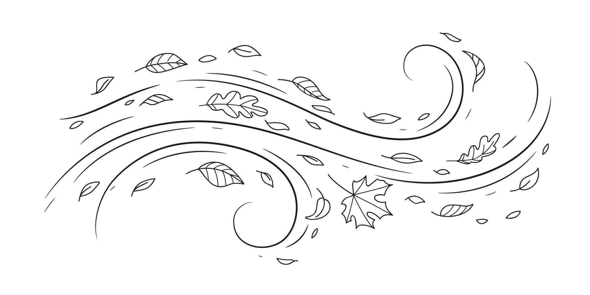 Doodle air wind and flying autumn leaves in motion vector