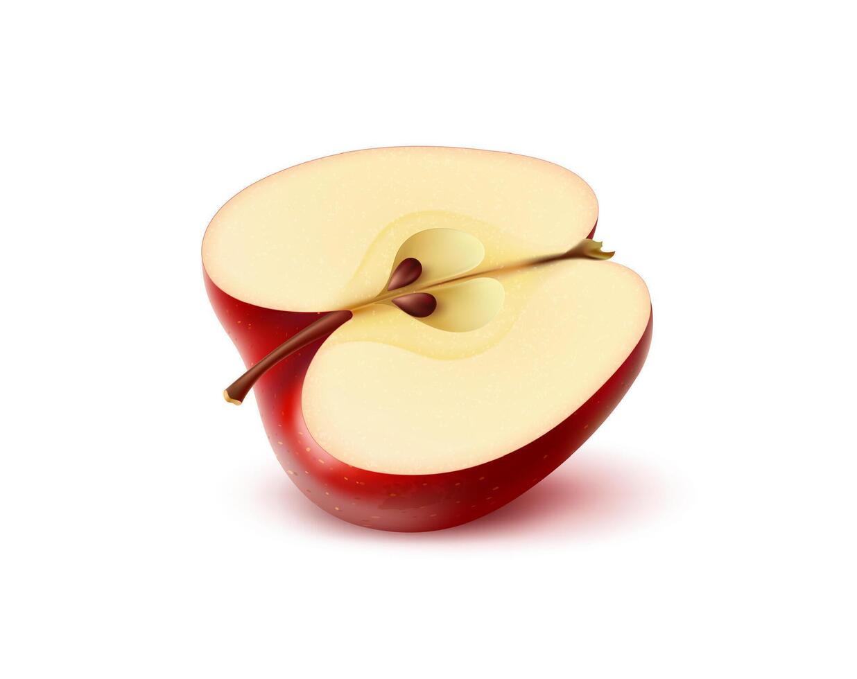 Realistic half of ripe red apple isolated 3d fruit vector