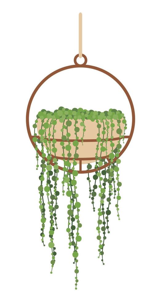 Green plant with cascading foliage and vines vector
