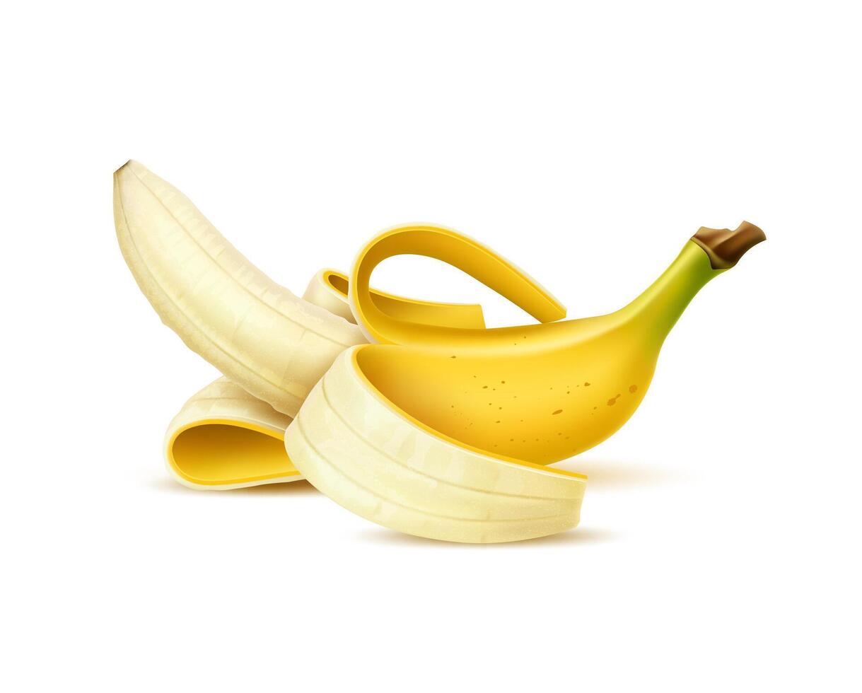 Realistic isolated banana Isolated 3d fruit vector