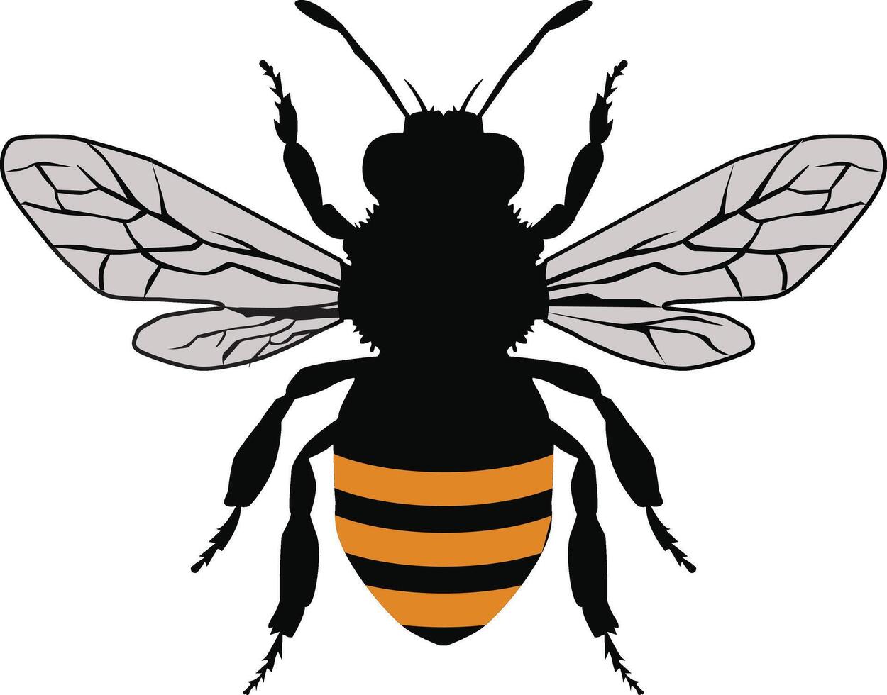 A art of big BEE vector