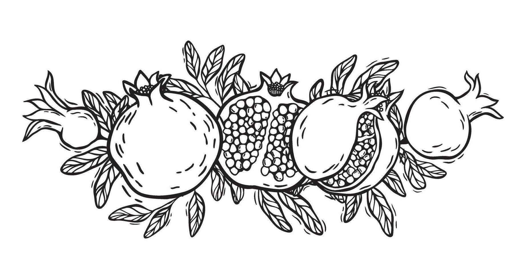 Pomegranate halves and whole fruits with seeds and leaves. botanical black and white illustration, hand drawn in linocut style. Drawing for packaging design, menus, recipes, postcards vector