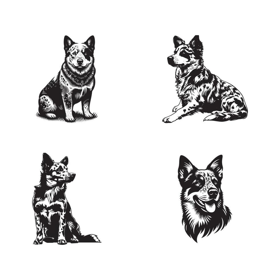 set of Australian Cattles Dog silhouette logo design black and white vector