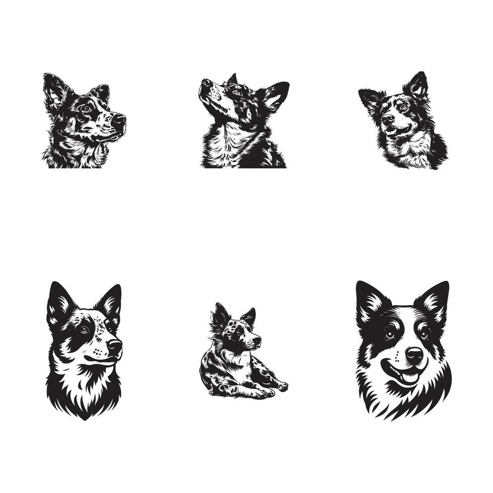 set of Australian Cattles Dog silhouette logo design black and white vector