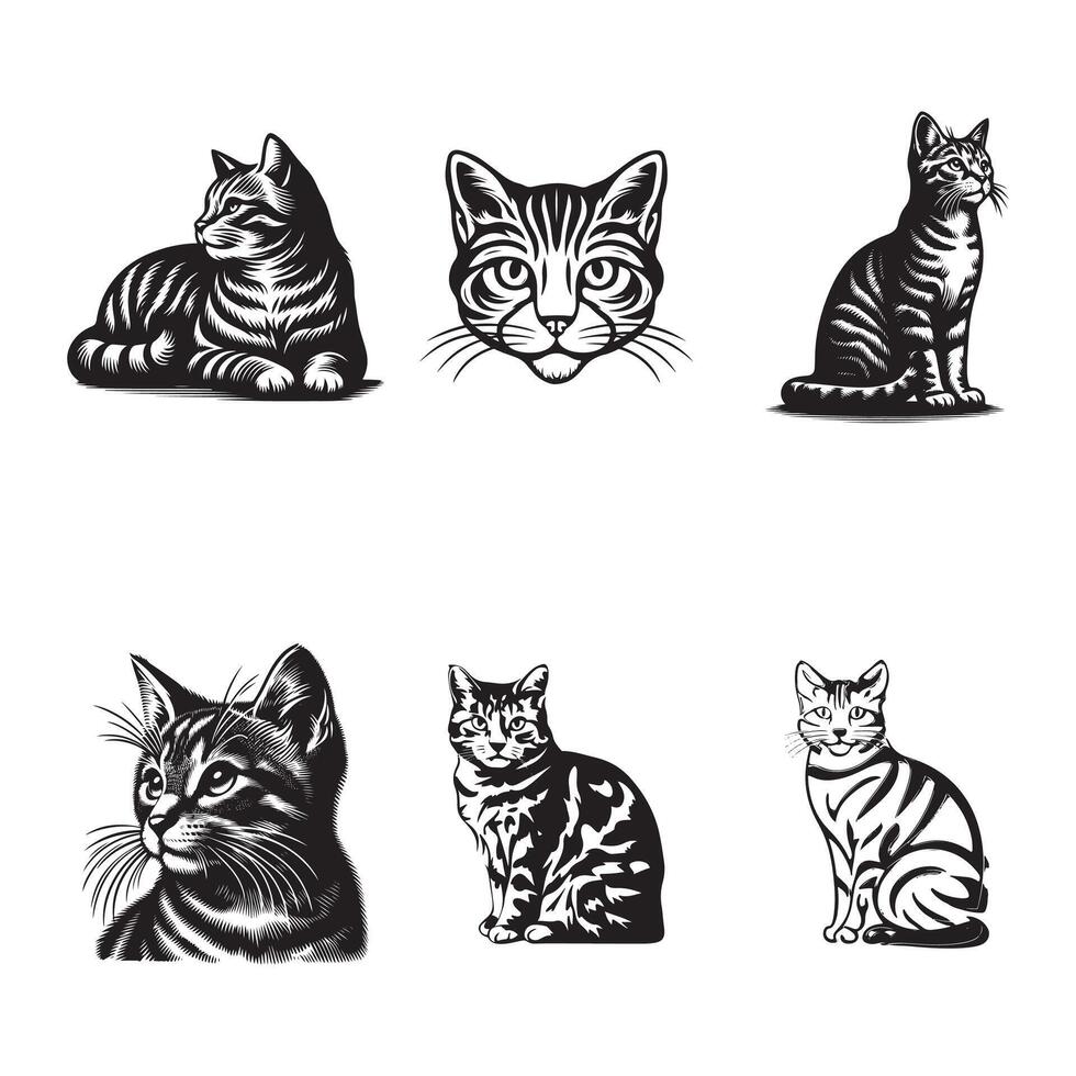 set of Tabby's cat silhouette illustration design vector
