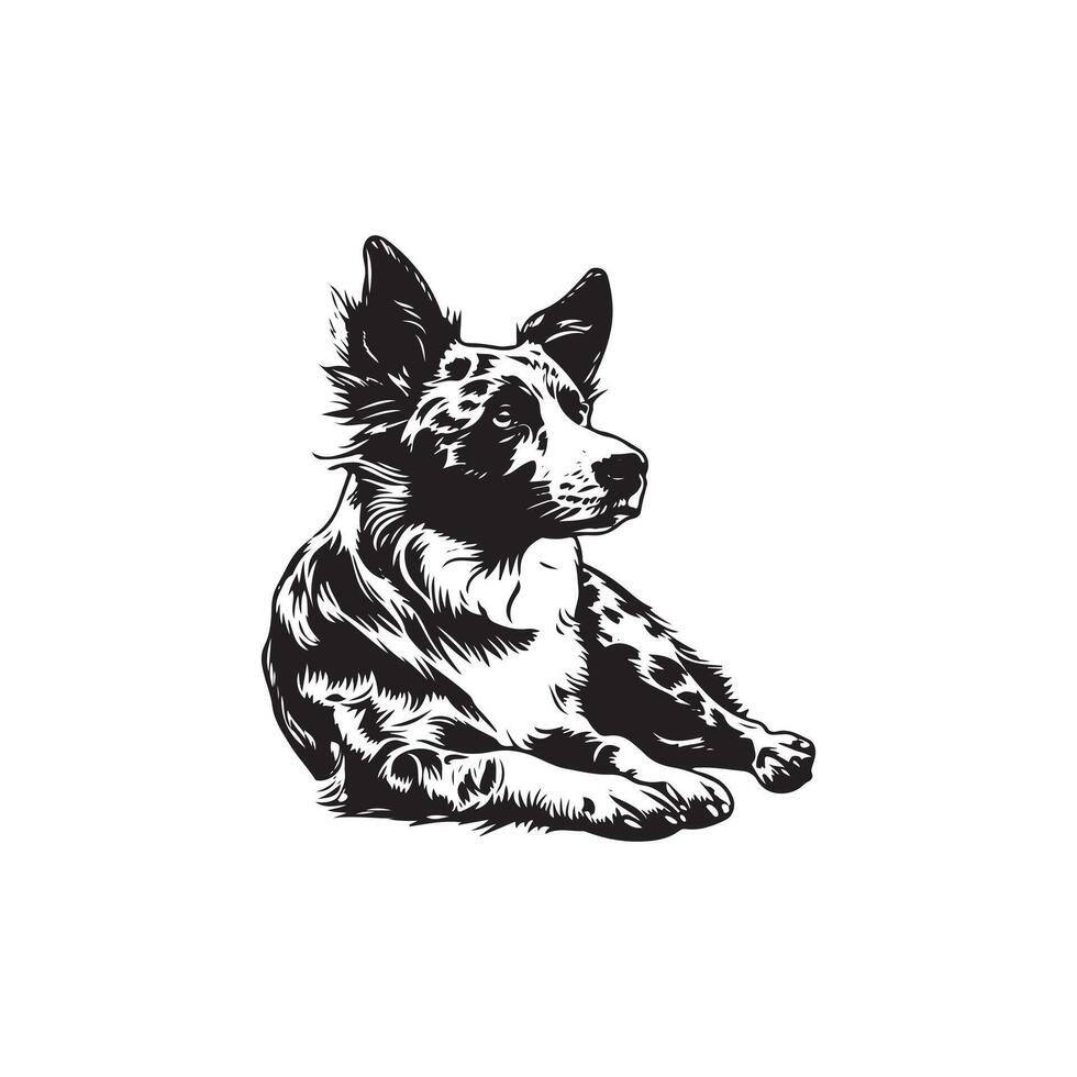 Australian Cattle Dog silhouette logo design black and white vector