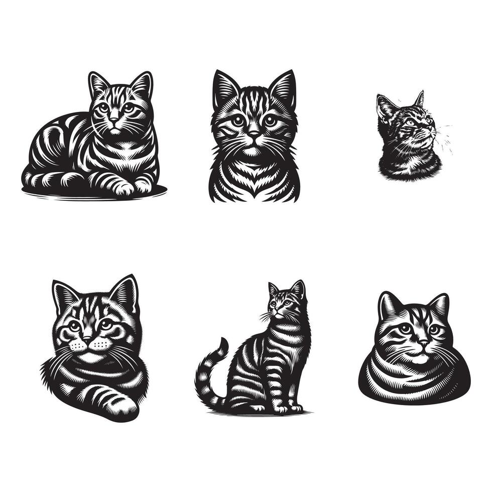 set of Tabby's cat silhouette illustration design vector