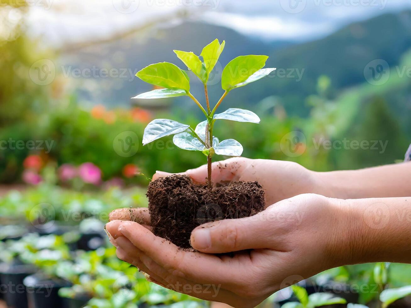 hand holding the plant, ecologi concept, earth day concept photo