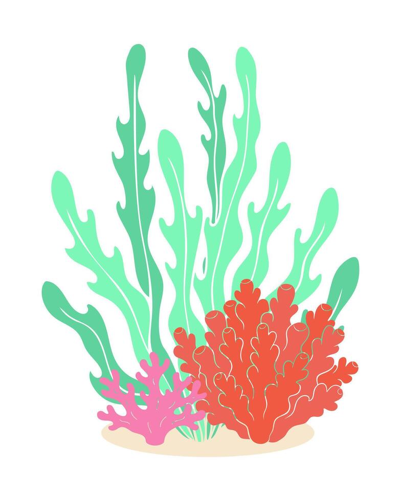 Sea underwater set of blue green seaweed algae and pink orange corals, marine design element, isolated on white background. vector