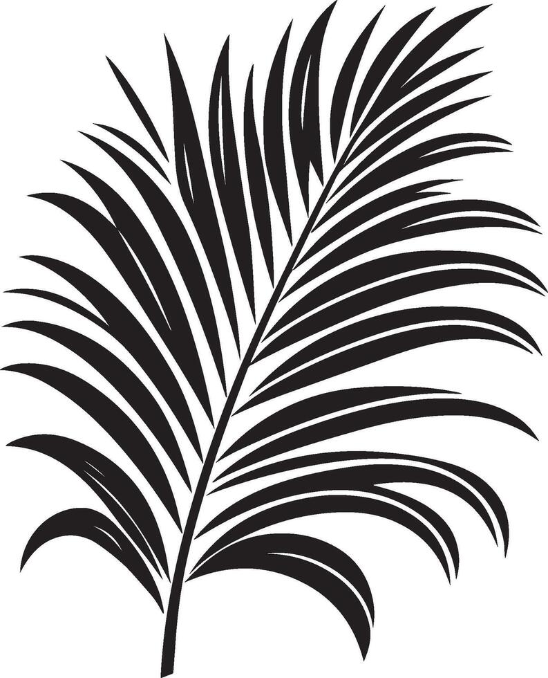 Set of palm leaves. illustration. vector