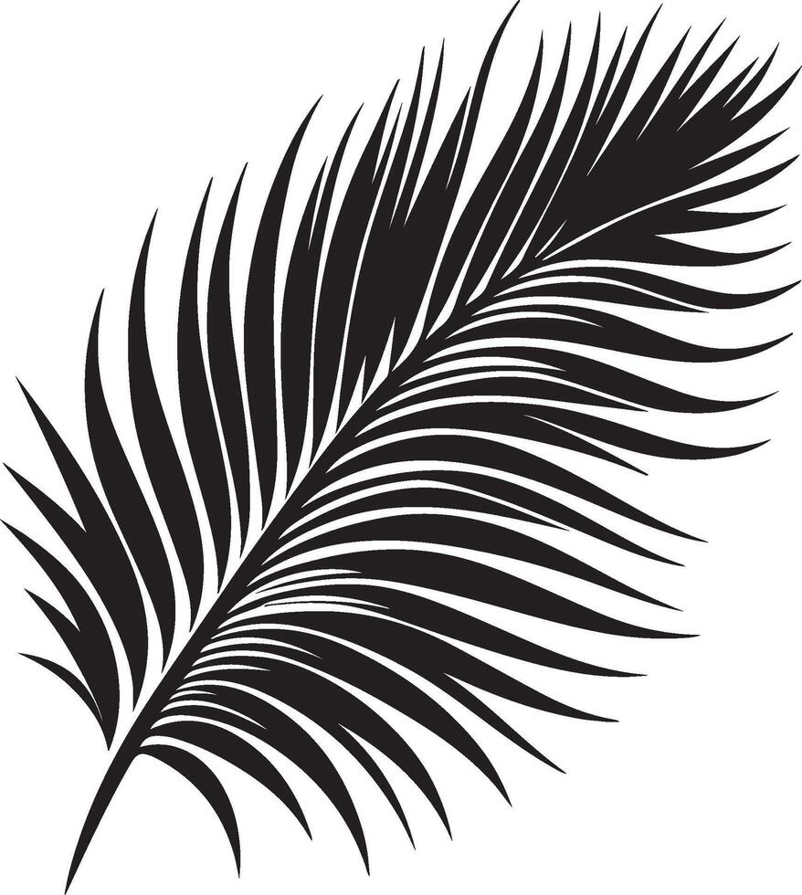 palm leaves silhouettes isolated on white background vector