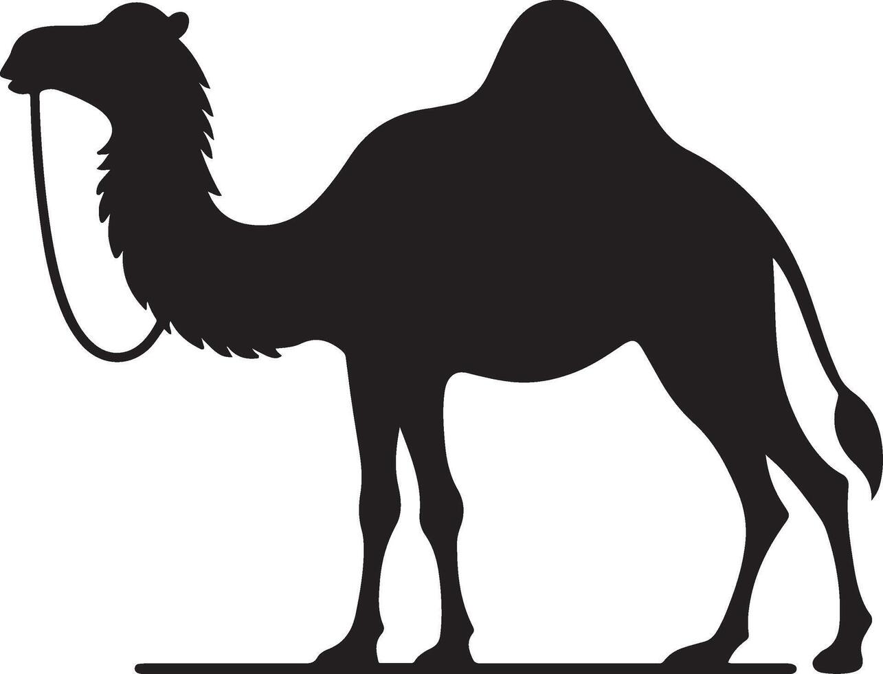 Camel Silhouettes. Image, Cameleer with camels silhouette graphic vector