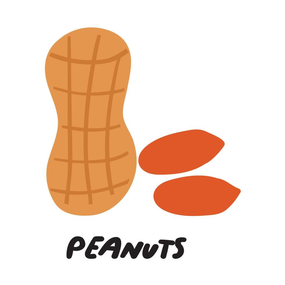Peanuts Flat illustration. Hand drawn icon on white background. vector