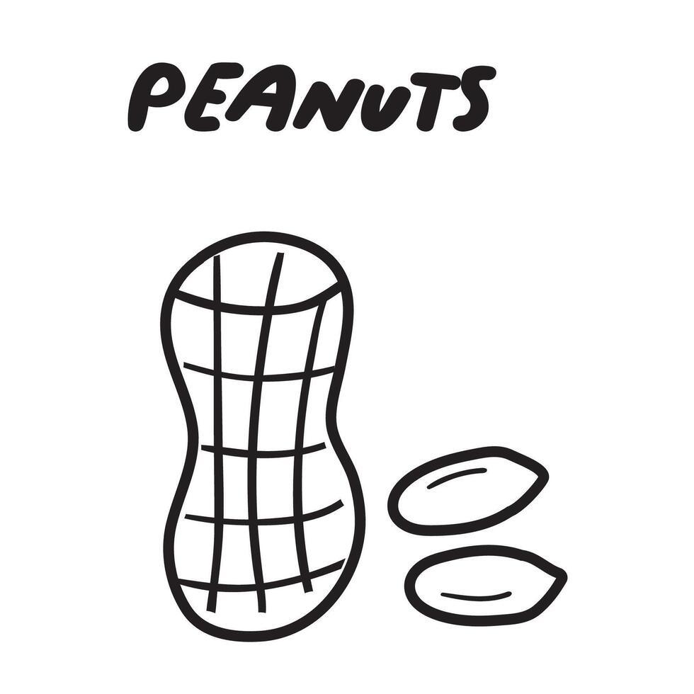 Peanuts. Outline icon. Black color. Hand drawn illustration on white background. vector