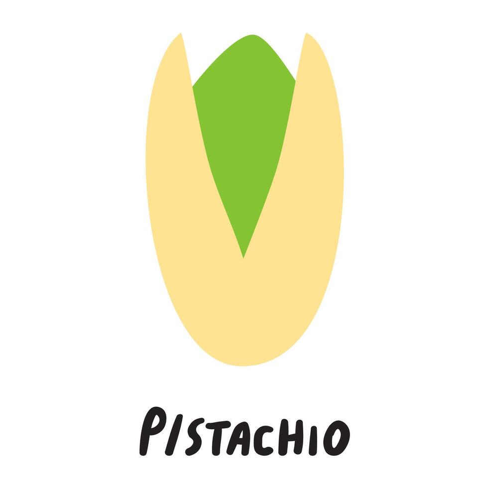 Food. Pistachio. Hand drawn flat illustration on white background. vector