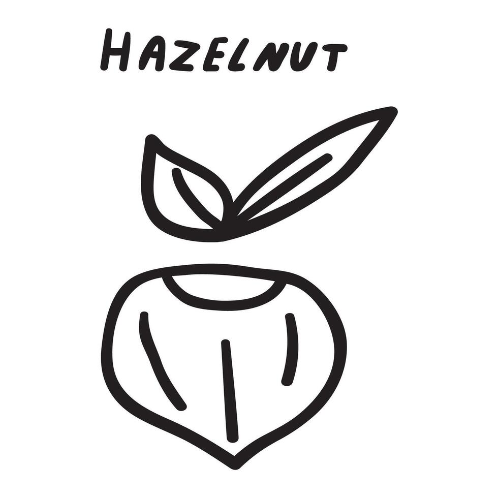 Hazelnut. Outline icon. Black color. hand drawn illustration on white background. vector