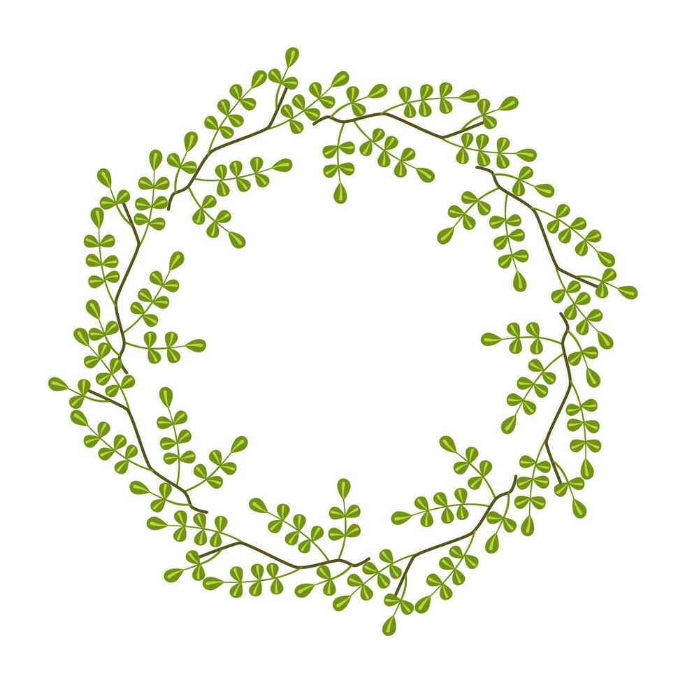 wreath of meadow leaves. Botanical frame. Template for a postcard. Green circle of leaves and branches. Concept of spring and summer holiday invitation. vector
