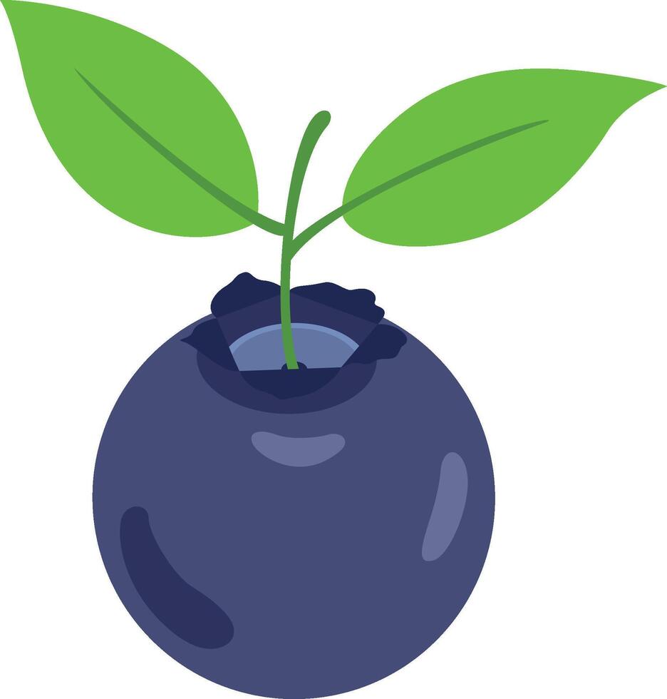 A blueberry isolate with leaves vector