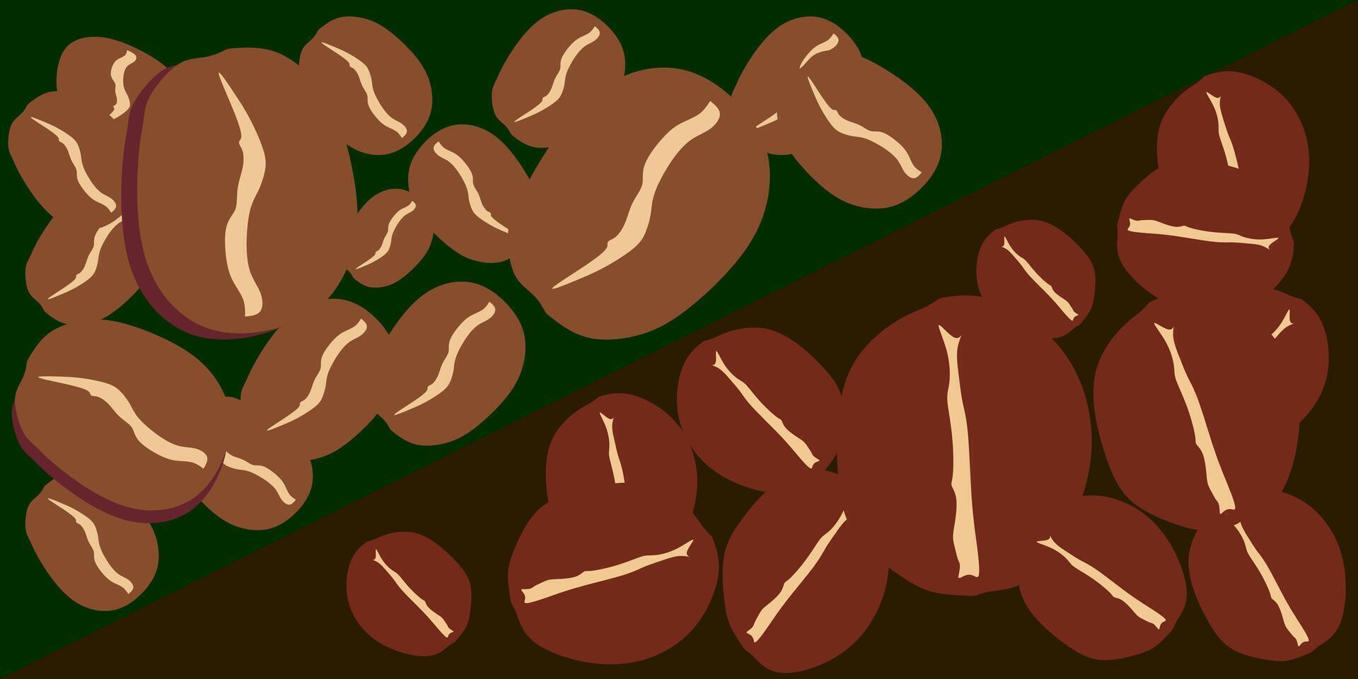 differences between arabika and robusta coffee beans vector
