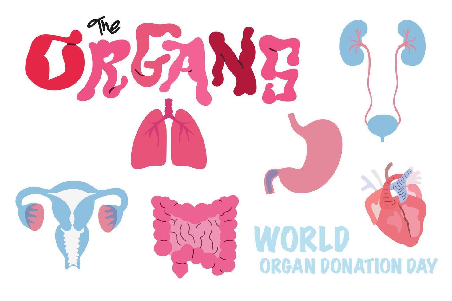 World Organ Donation Day social media post template. Organ donation day illustration. Saving Lives and Health Care. Flat organs and silhouette of a doctor surgeon in a medical cap and mask vector