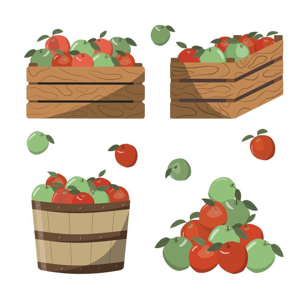 Apple harvest theme collection. Garden crate, apple baskets. Cartoon illustration isolated on white background. vector