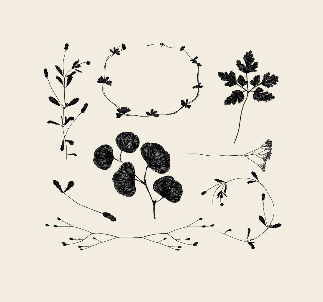 Branches and leaves silhouettes set drawing on beige background vector