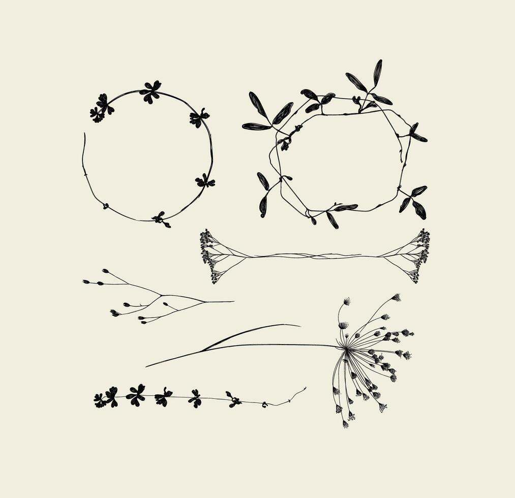 Branches leaves and flowers silhouettes set drawing on beige background vector