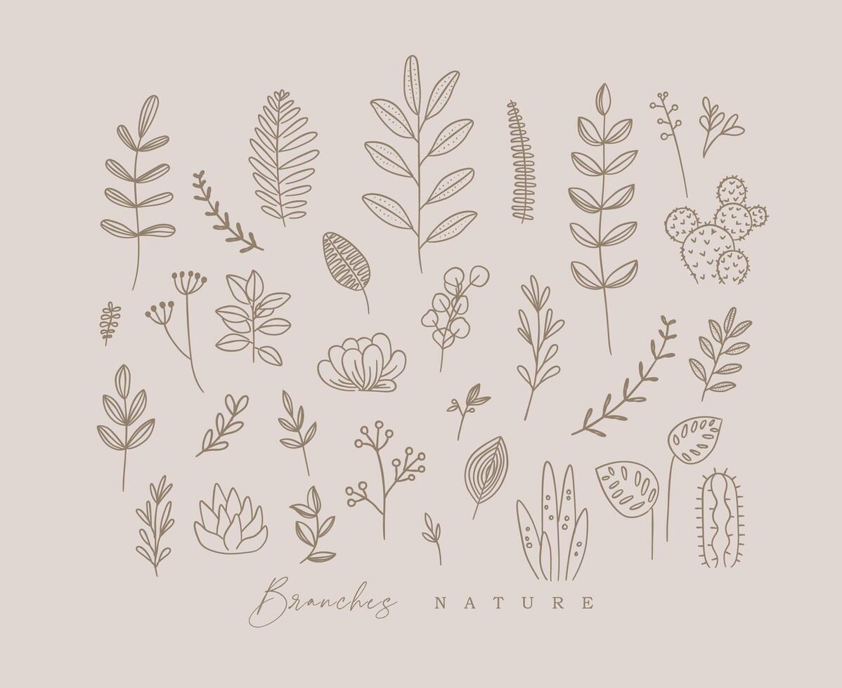 Set of different forms branch and leaves in minimalism style drawing on beige background vector