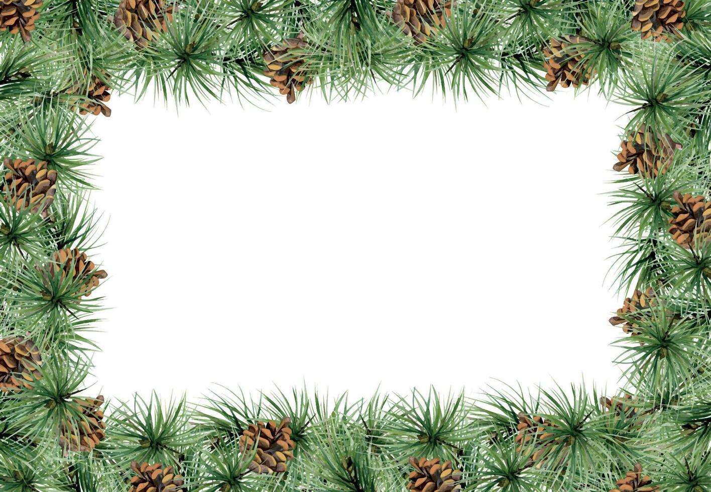 Pine tree, fir tree, spruce branches with needles, cones. Watercolor hand drawn illustration, border frame isolated on white. Xmas, happy new year festive, noel navidad. Cards, gifts, florist shop. vector