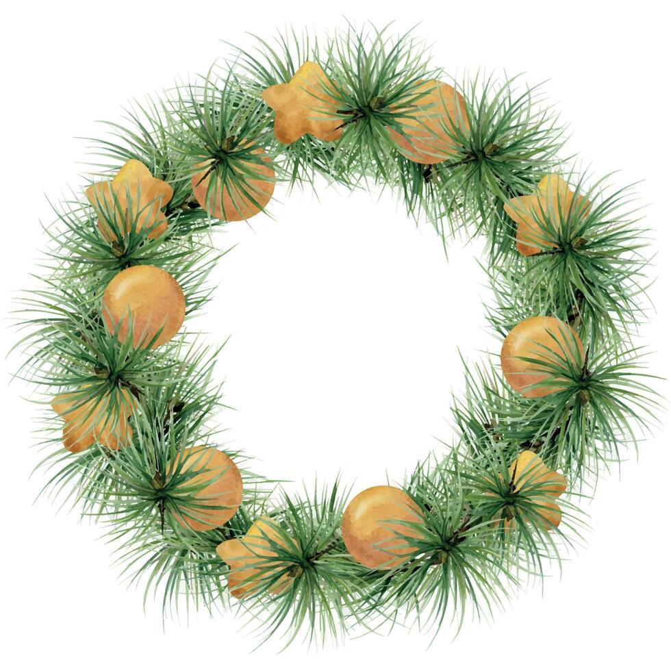 Pine, fir tree, spruce branches, gold bauble balls stars. Watercolor hand drawn illustration, wreath frame isolated on white. Xmas, happy new year festive, noel navidad. Cards, gifts, florist shop. vector