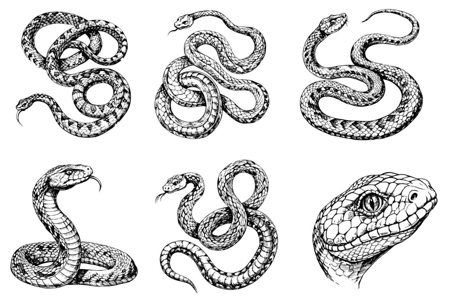 Set snake sketch on white background vector