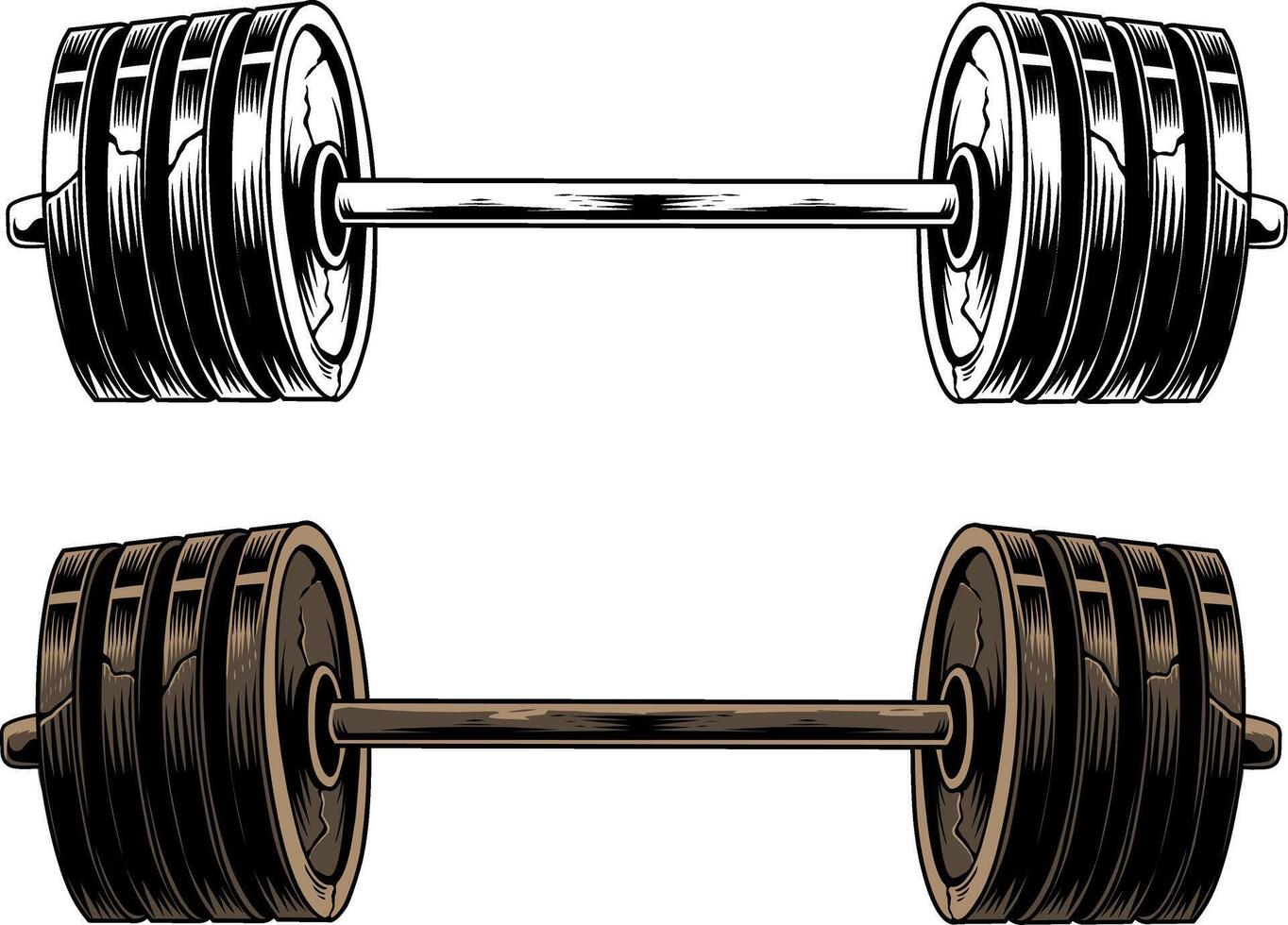 dumbbell set isolated illustration on white backgroun vector