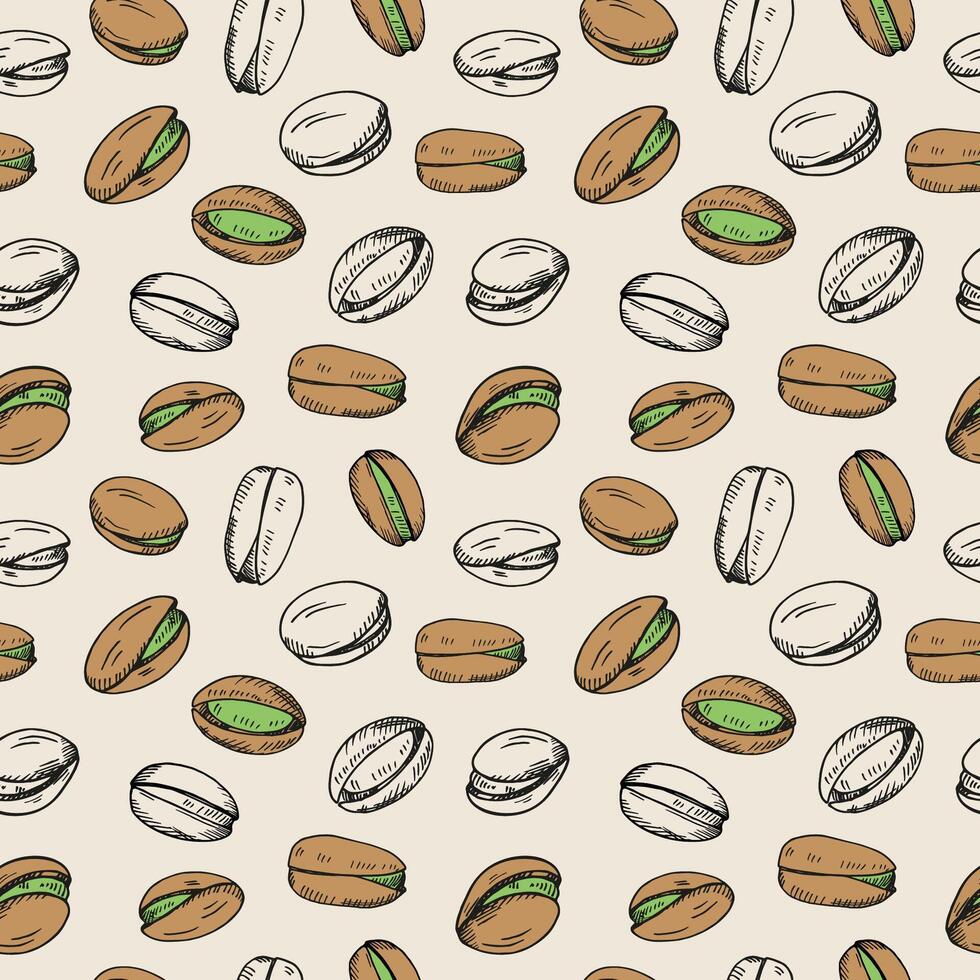Pistachios nuts seamless pattern. Hand drawn engraved repeating background with nuts. Organic food ingredient. Design for label, card, print, paper, wrapping, textile, wallpaper vector