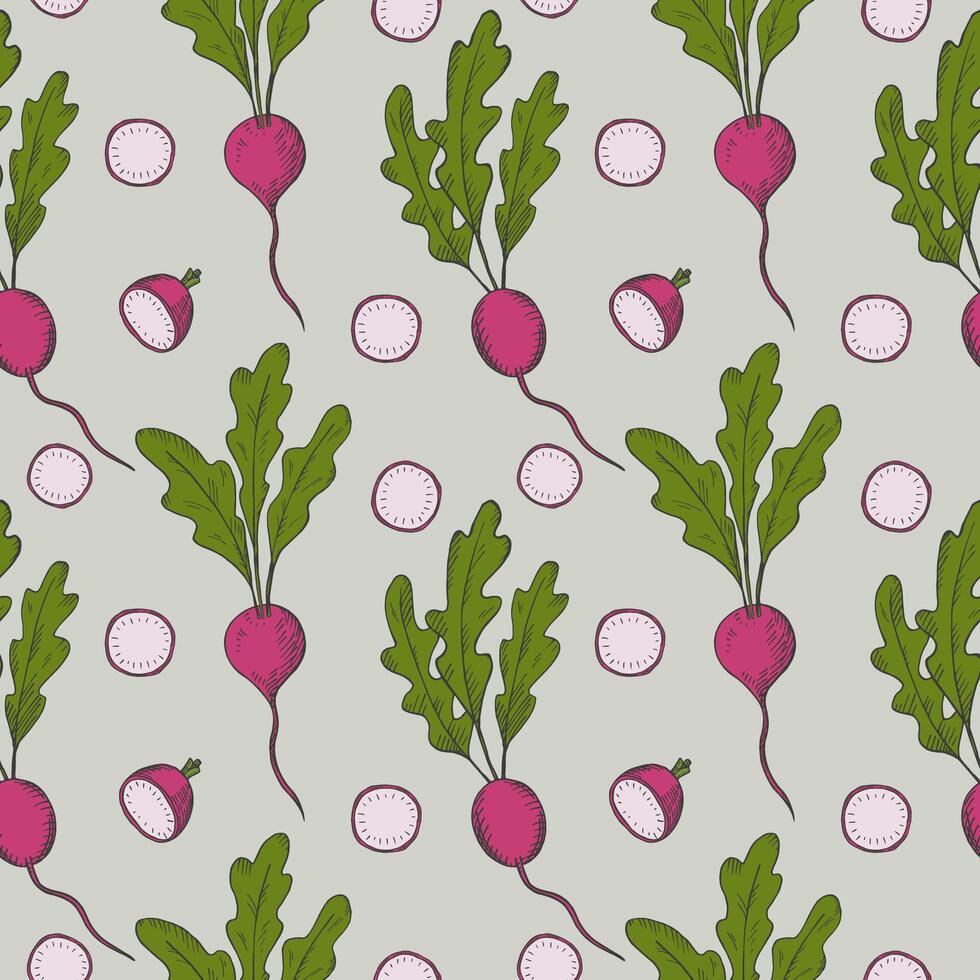 Seamless pattern with radish. Hand drawn repeating background with whole, half and slice of engraved red radish. Food illustration for label, card, print, paper, textile, wrapping, banner vector