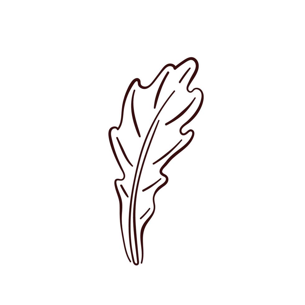 Fresh arugula leaf icon in line art style. illustration isolated on a white background. vector