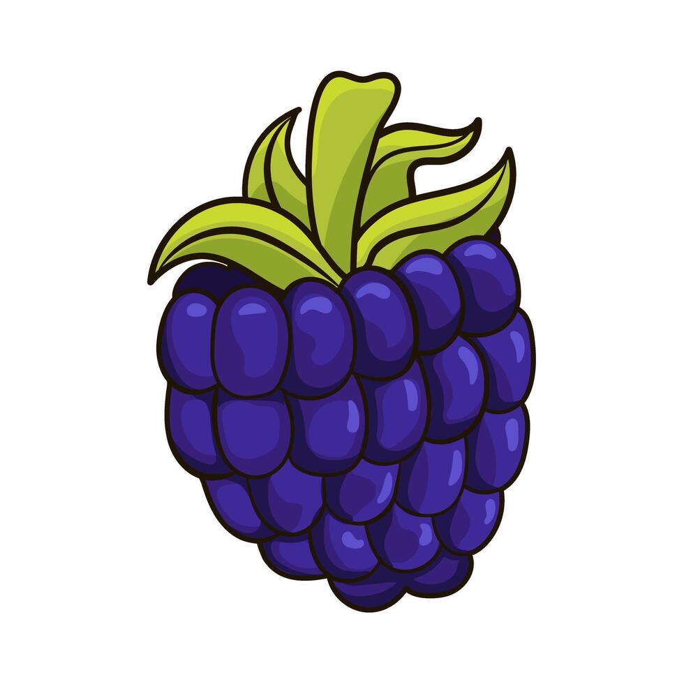 Ripe blackberry in cartoon style vector