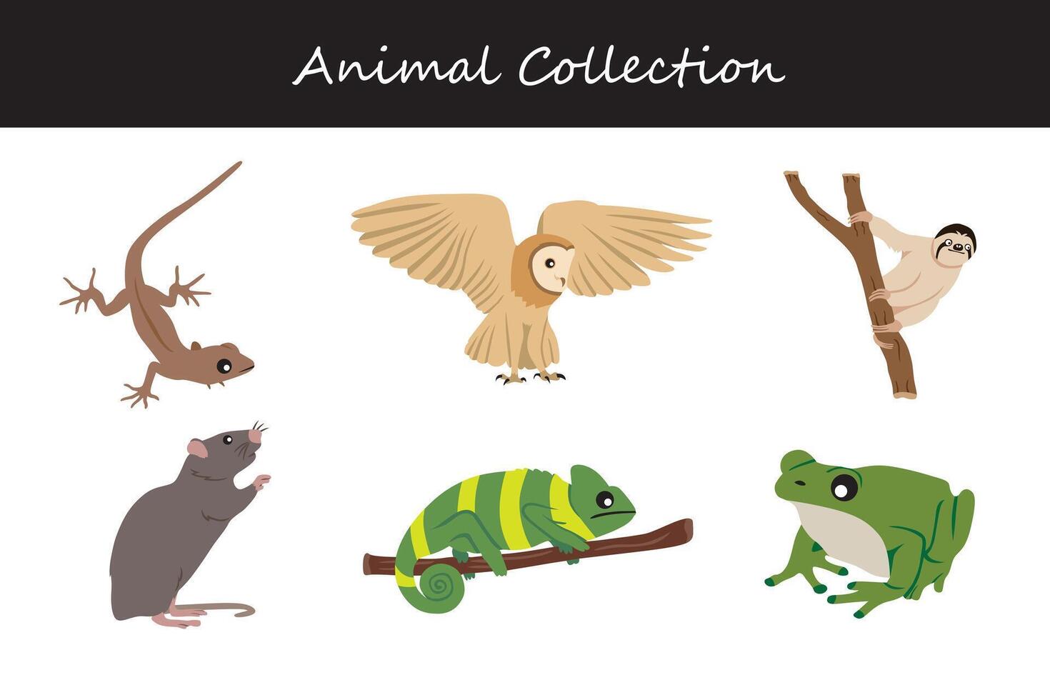 Animals collection. Flat style illustration. vector