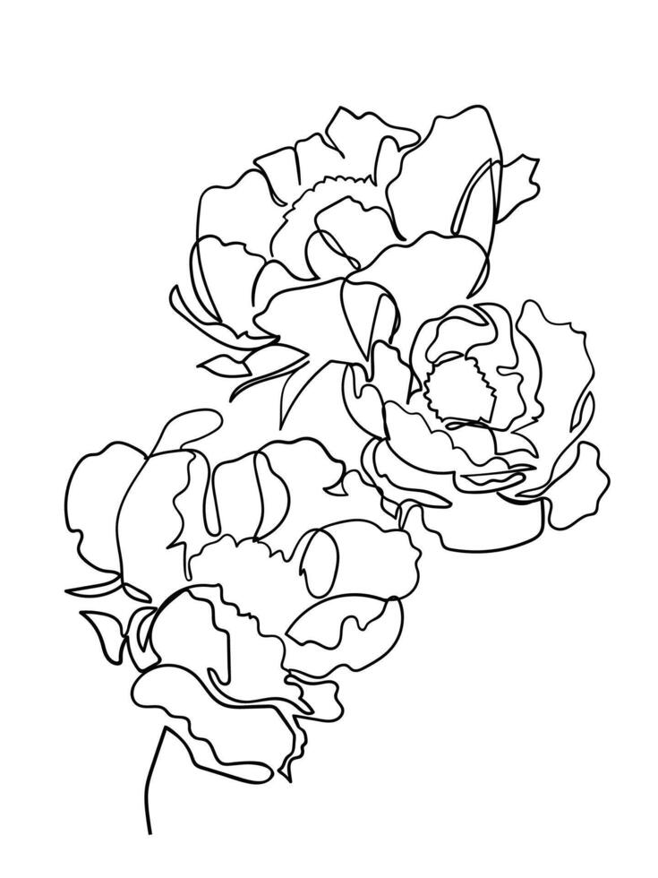 Abstract peony flowers in one line art drawing style. vector
