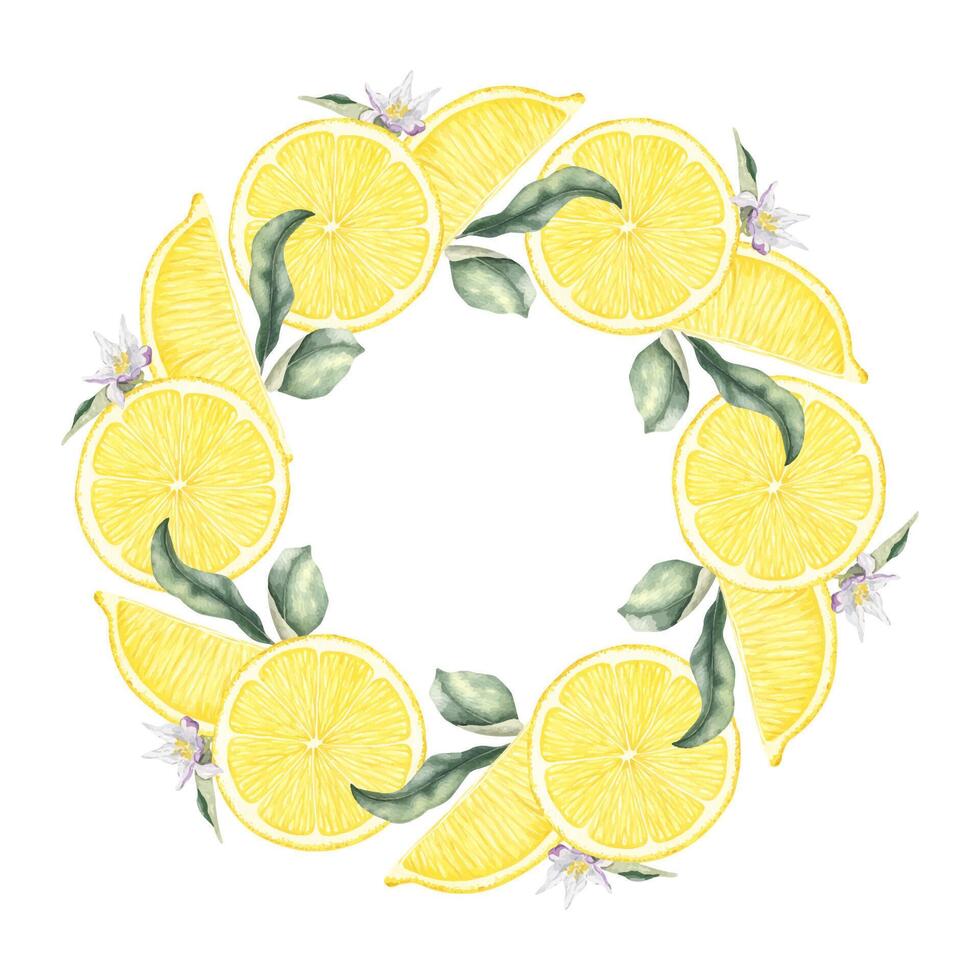 Slices of lemon fruits, flowers and leaves. Isolated hand drawn watercolor frame. Tropical citrus fruit. Template for menu, package, cosmetic, textile, cards vector
