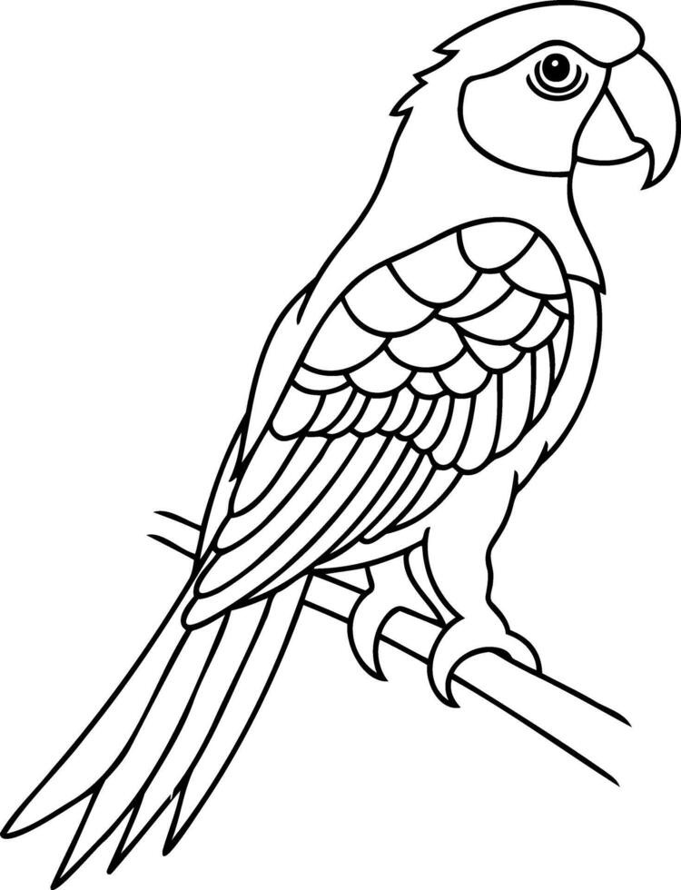 Coloring page book Animal parrot icon vector