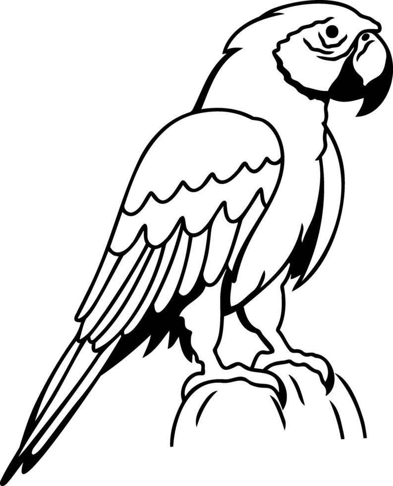Coloring page book Animal parrot icon vector