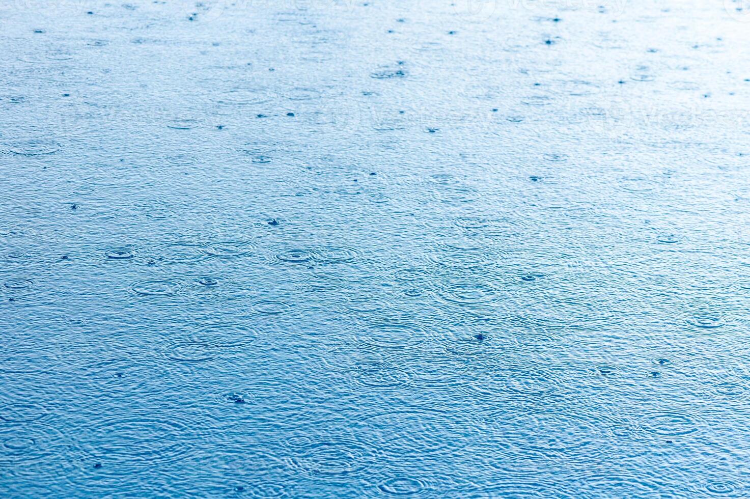 water surface in the pool with raindrops 1 photo