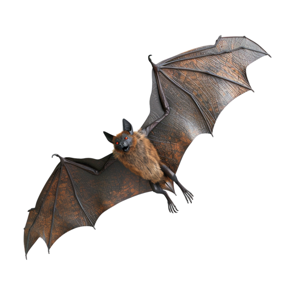 Flying Bat Halloween on Transparent Background png