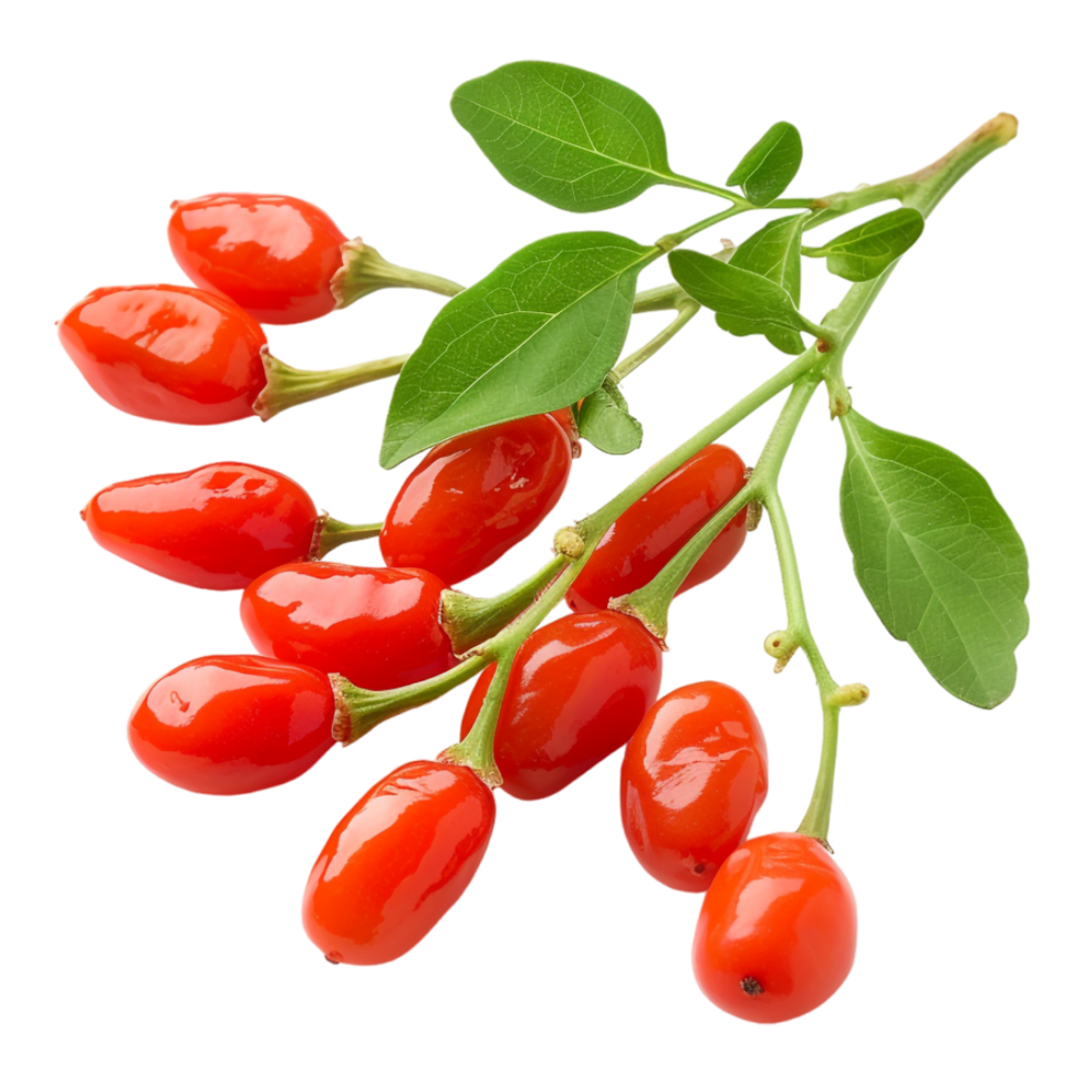 Goji Berry on Transparent Background png