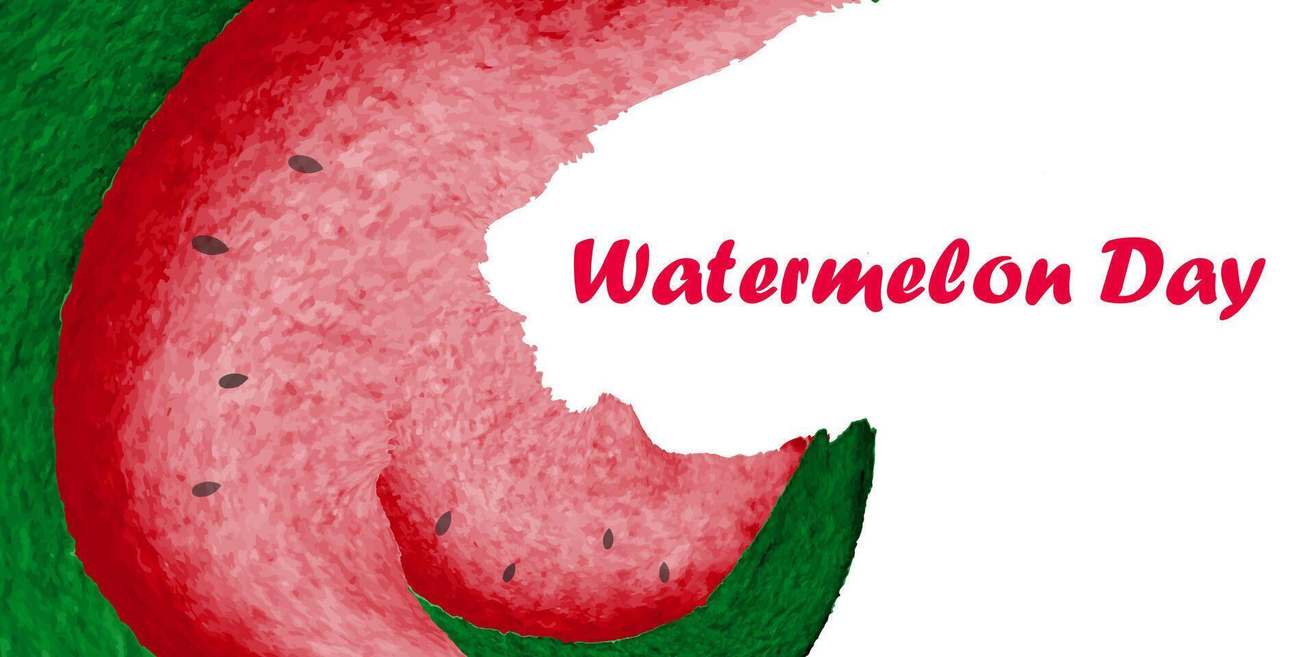Juicy appetizing watermelon slices on white background vector