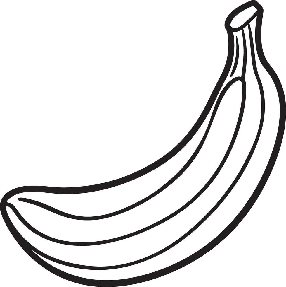 Banana Fruit Illustration for Coloring Pages for Kids vector