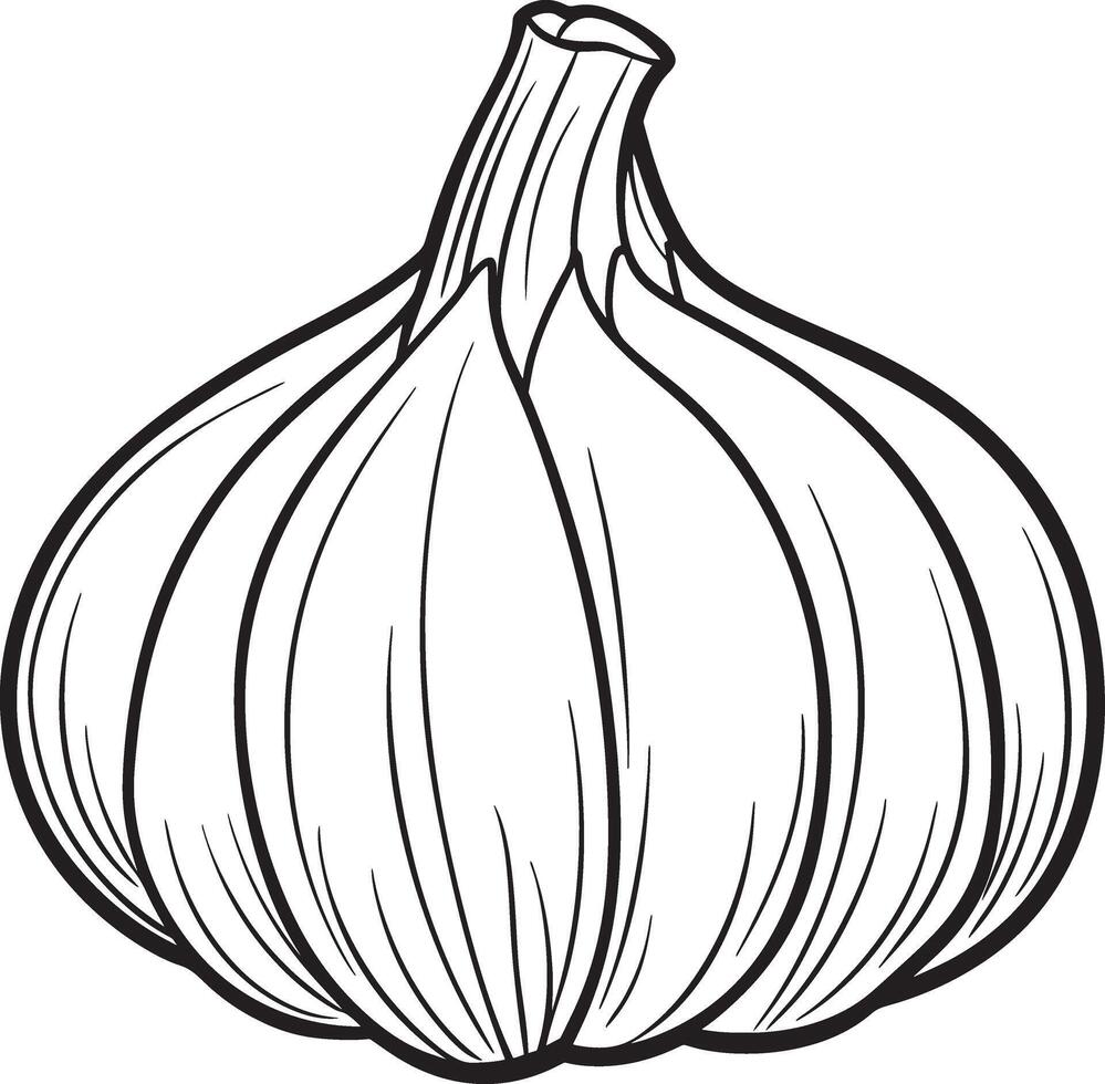Garlic Vegetable Illustration for Coloring Pages for Kids vector