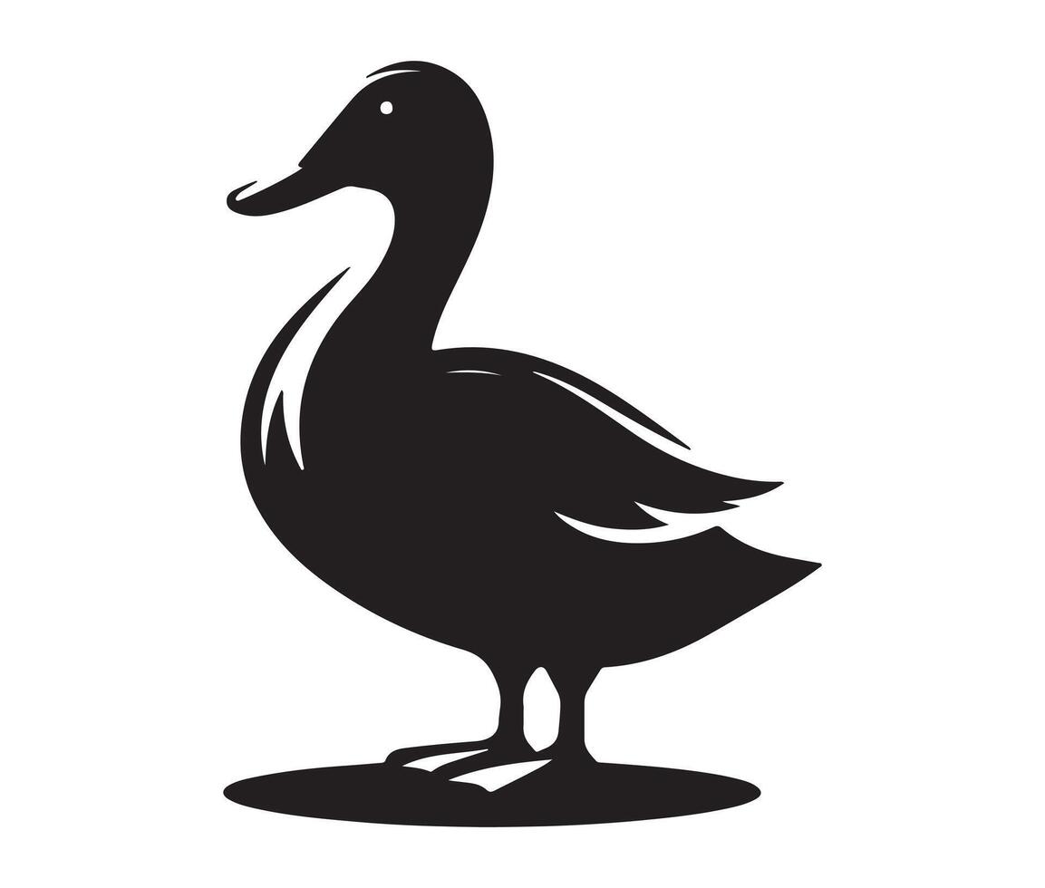 Duck isolated on white vector