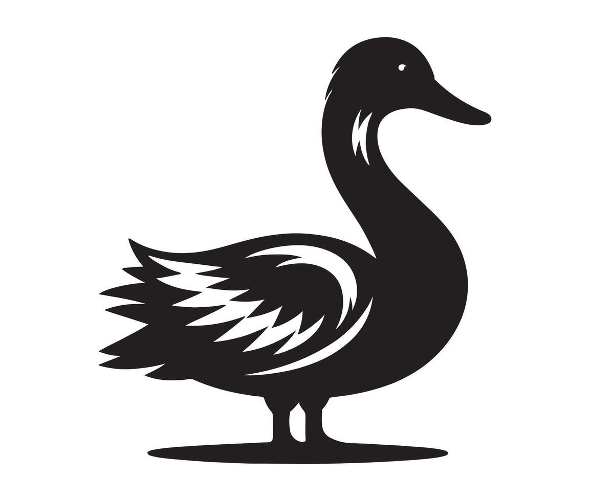 Duck isolated on white vector