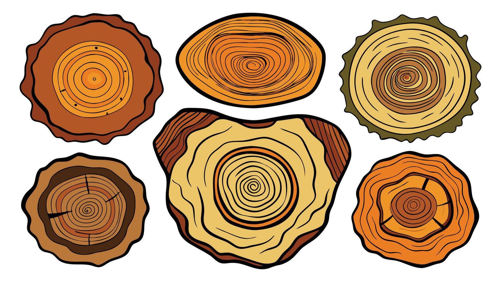 Tree rings. Hand drawn wood slice texture. Abstract tree age year circle. Line wooden circular ripple nature timber fractal stump. Organic trees material. flat set vector